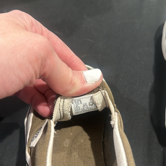 Dinosaur Vans - Picture 3 of 4